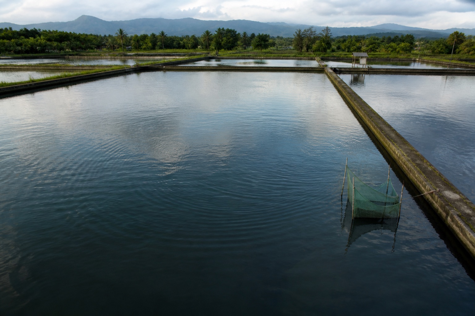 Aquaculture ponds and service paths beneath a mountain range