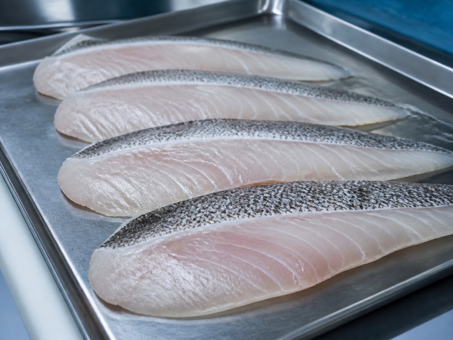 Barramundi fillets arranged on a stainless processing tray